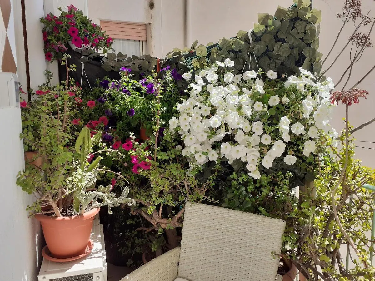 ***  Bbx Palermo Bed & Breakfast Italy